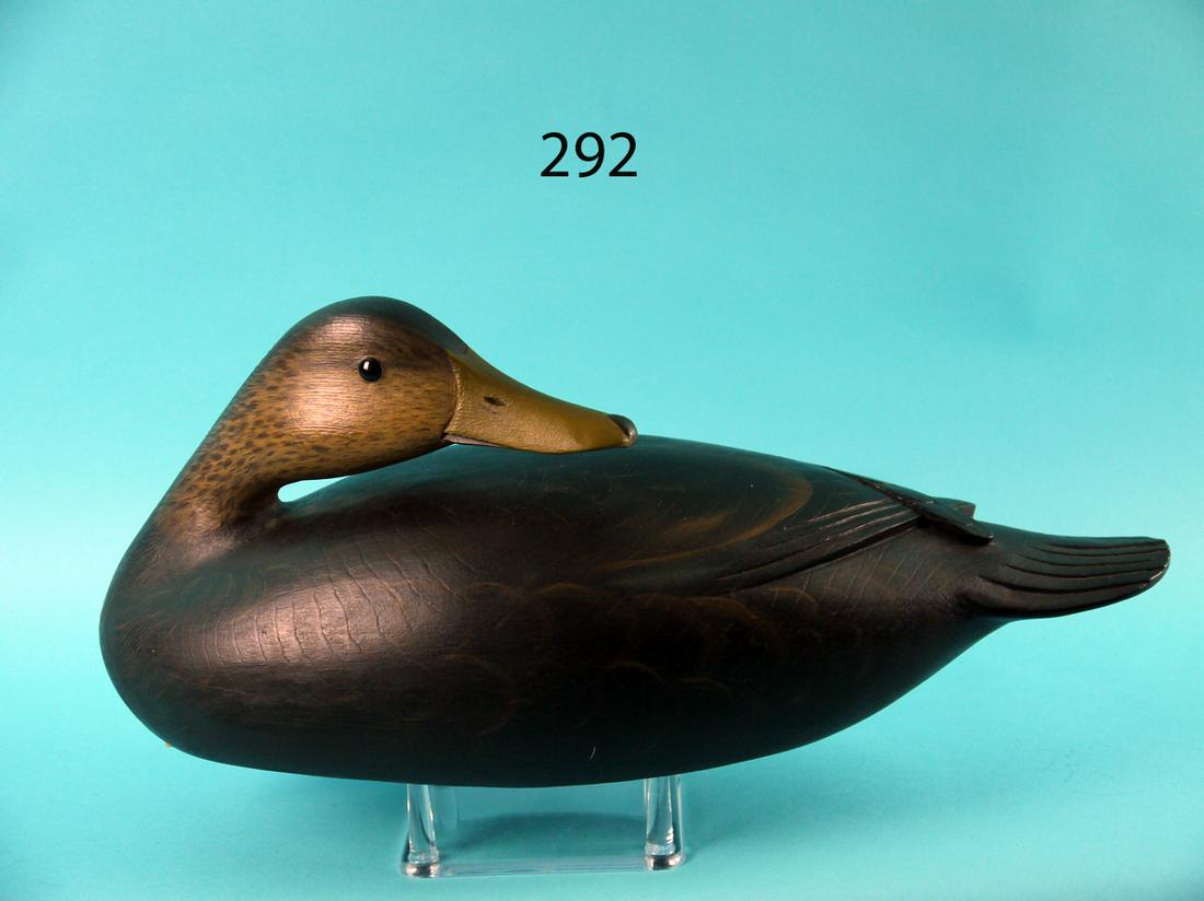 BLACK DUCK, G. STRUNK (1 of 4)