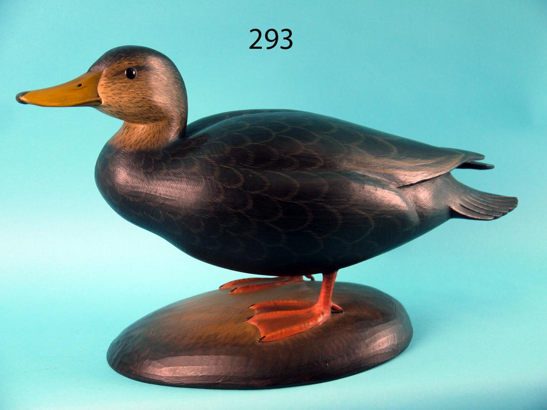 STANDING BLACK DUCK, G. STRUNK (1 of 4)