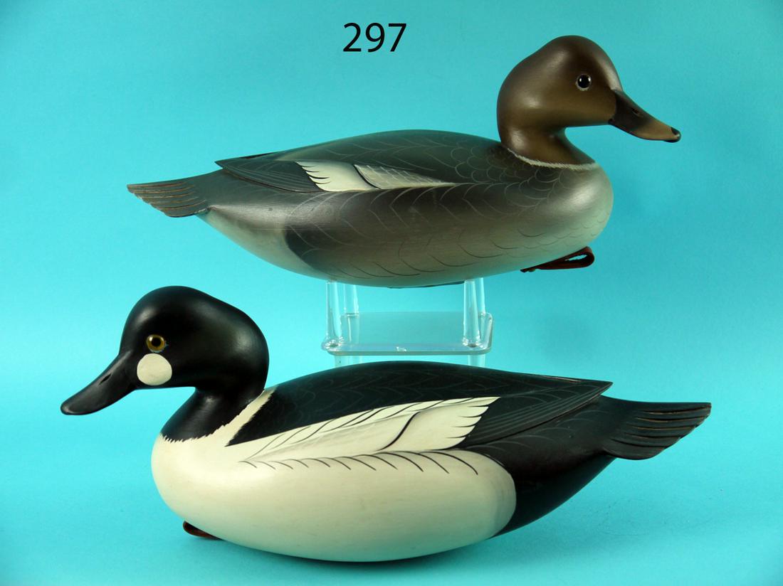 GOLDENEYE PAIR, G. STRUNK (1 of 4)