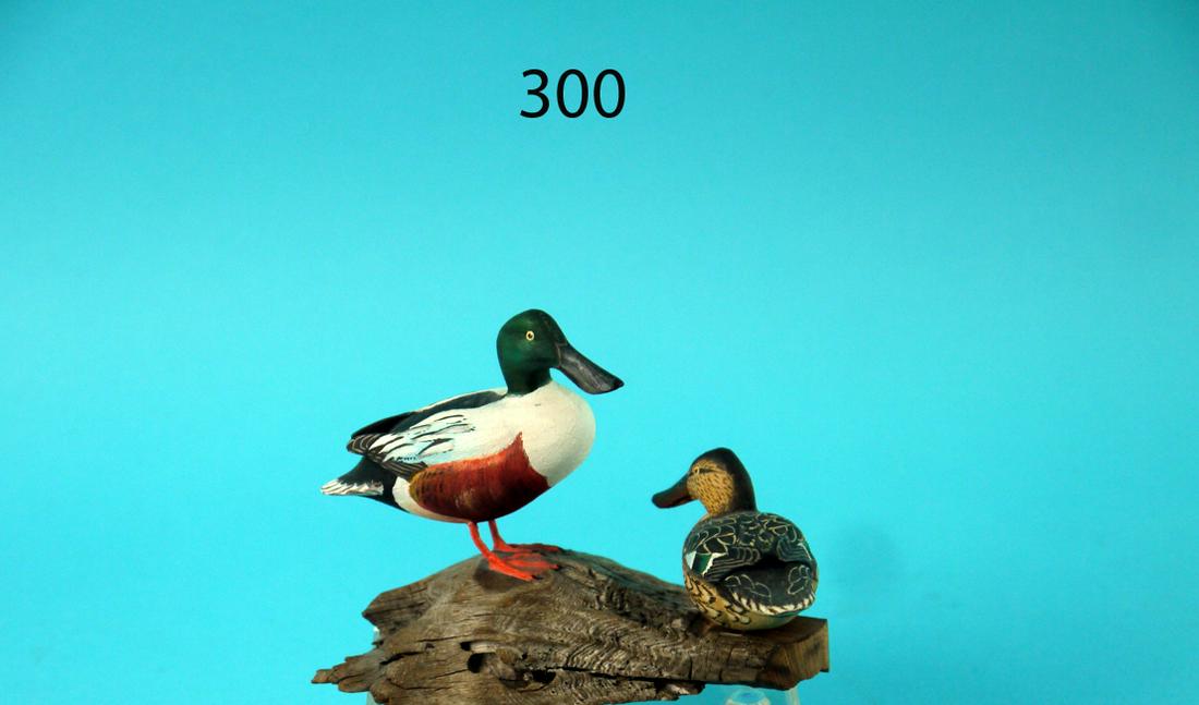 MINIATURE SHOVELLER PAIR, GEN. C. DEGAVRE (1 of 3)