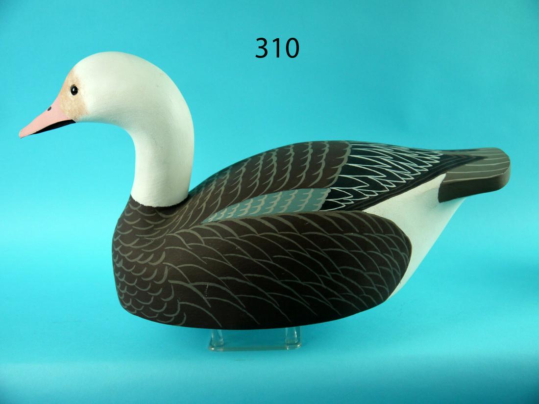 BLUE GOOSE, W. CRANMER (1 of 4)