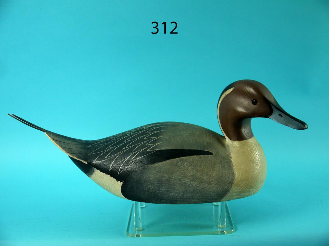 PINTAIL DRAKE, W. CRANMER (1 of 4)