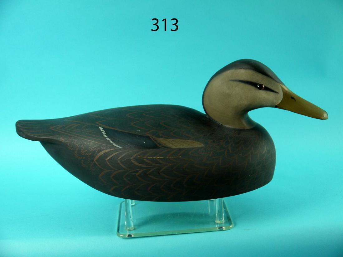 BLACK DUCK, W. CRANMER (1 of 4)