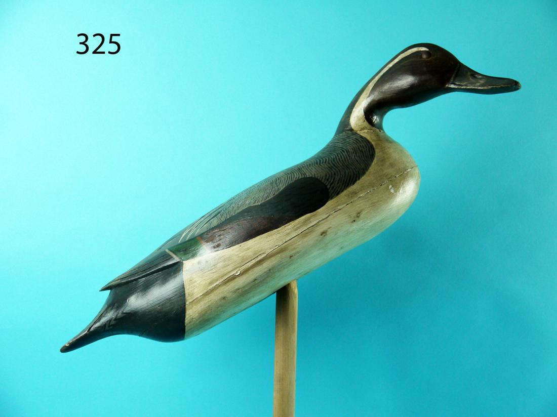 PINTAIL STICK UP, NEW JERSEY (1 of 2)