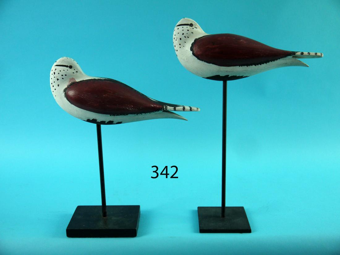 TWO RUDDY TURNSTONES, NEW JERSEY (1 of 2)