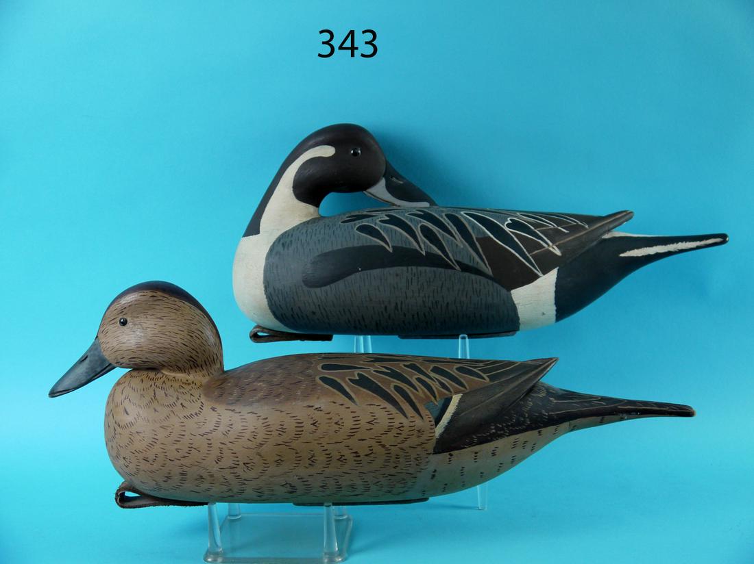 PINTAIL PAIR, E. CORRADETTI (1 of 4)