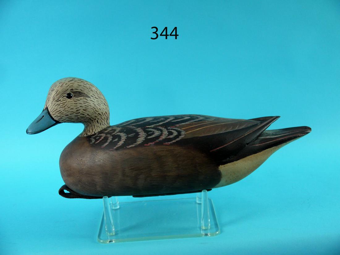 WIDGEON HEN, E. CORRADETTI (1 of 4)