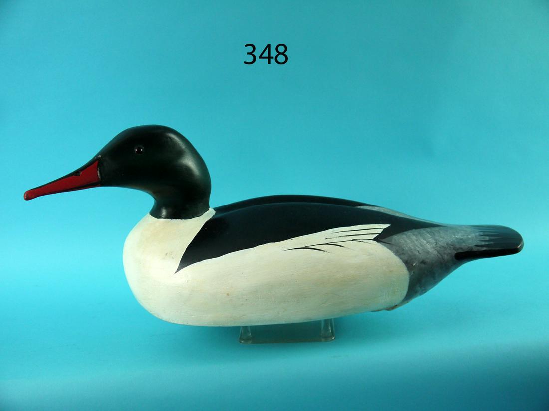 AMERICAN MERGANSER DRAKE, W. GEONNE (1 of 4)