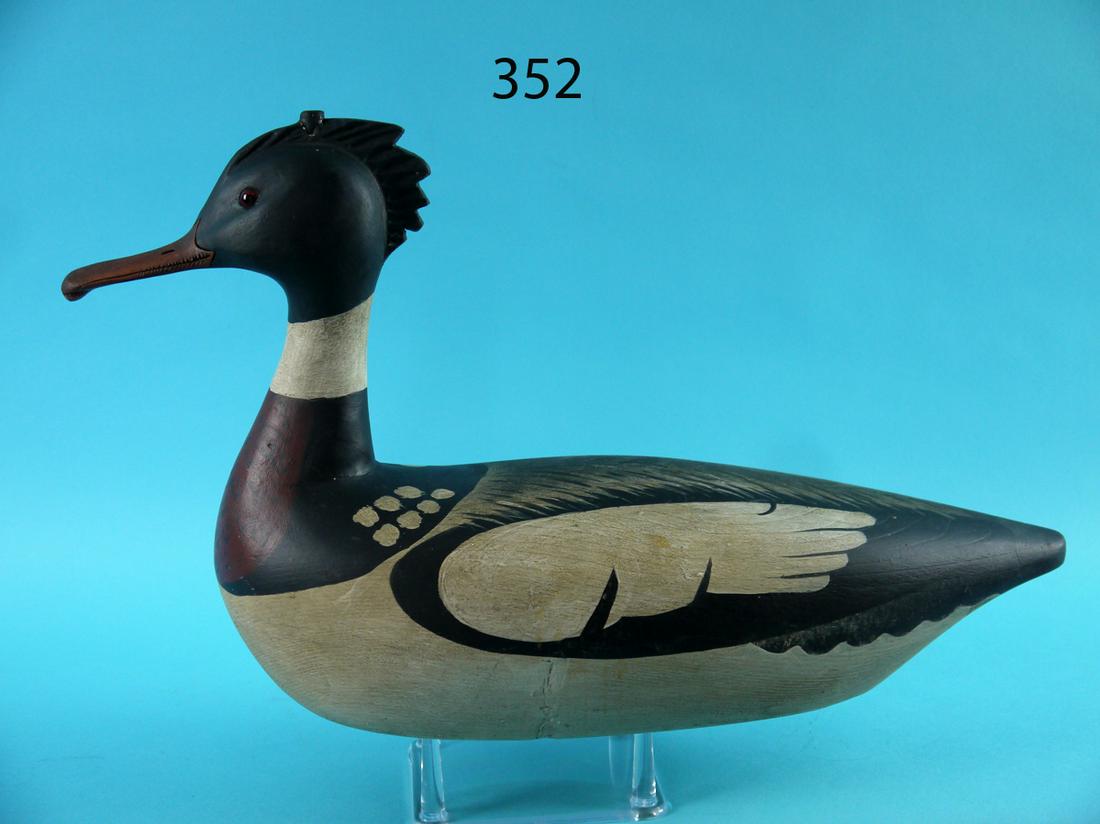 RED BREAST MERGANSER, K. KIRBY (1 of 4)