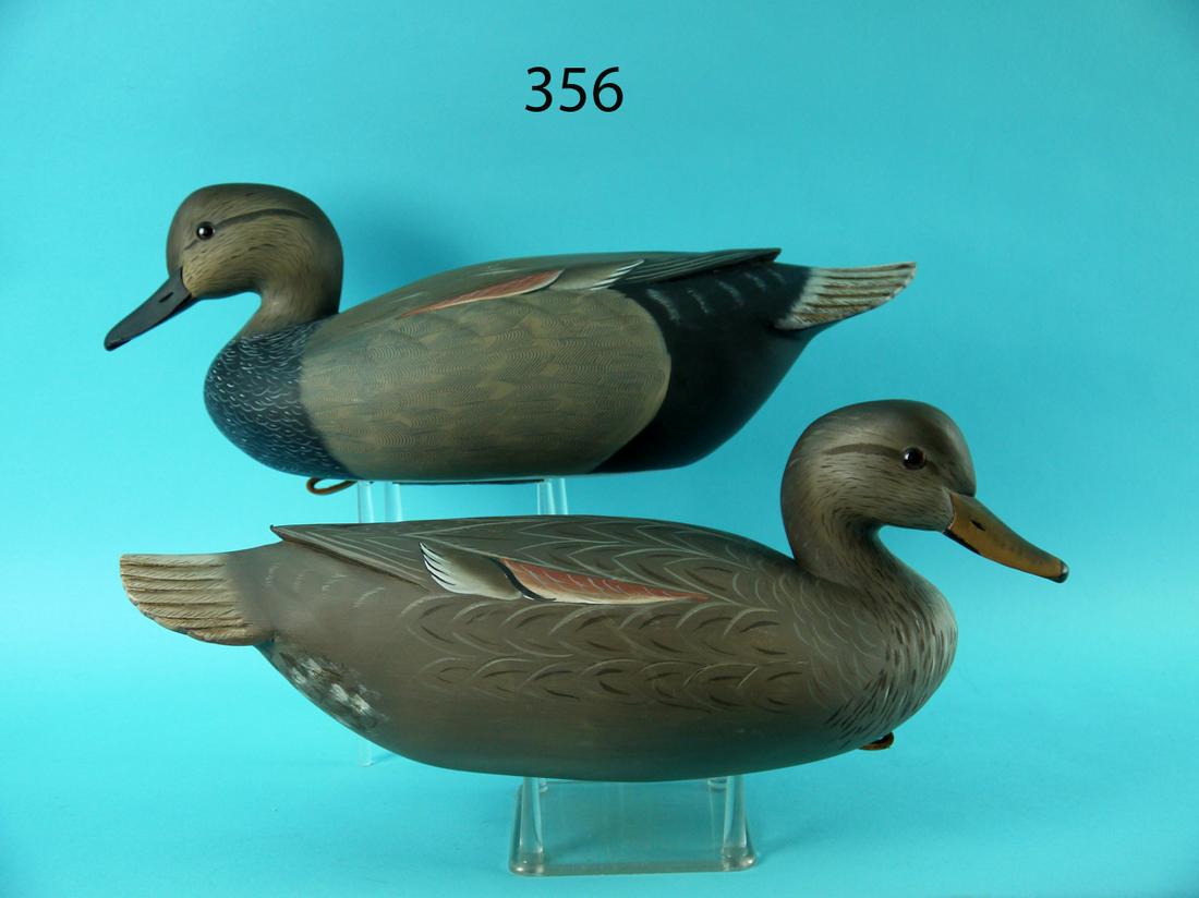 GADWALL PAIR, K. WHARTON (1 of 4)