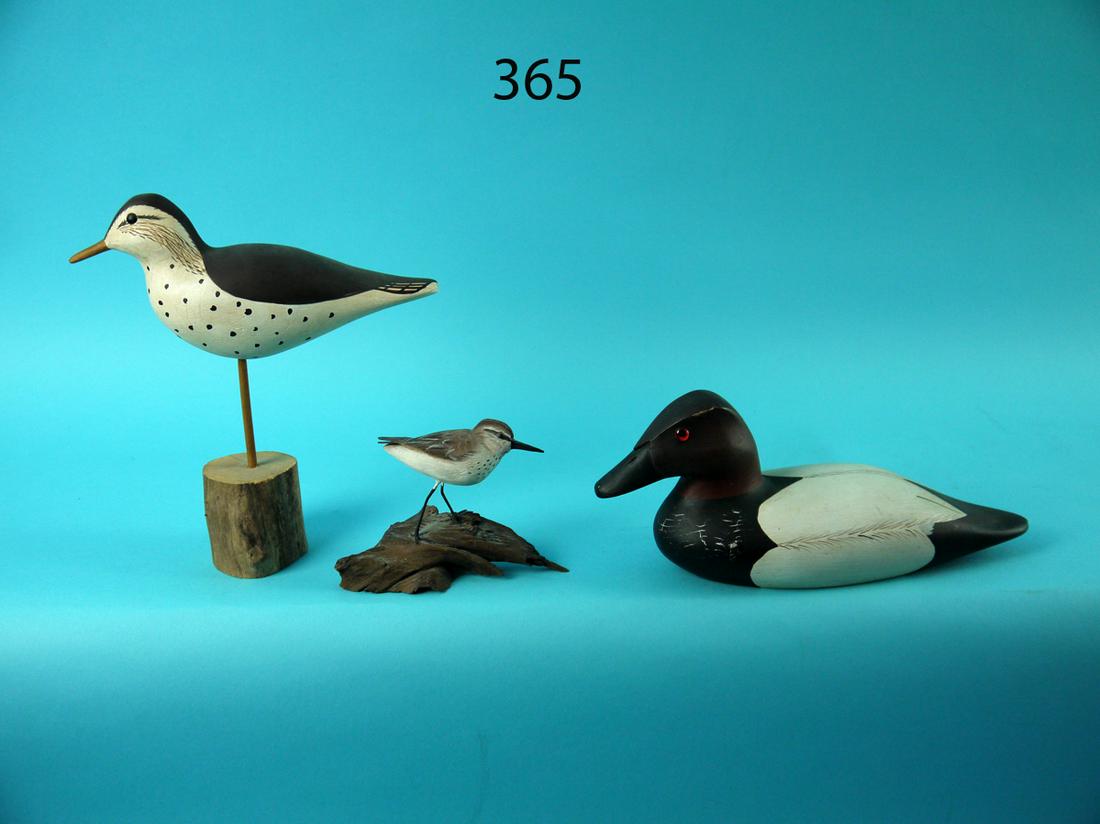 MINIATURE PEEP/SANDPIPER AND 1/4 SIZE CANVASBACK DRAKE (1 of 3)
