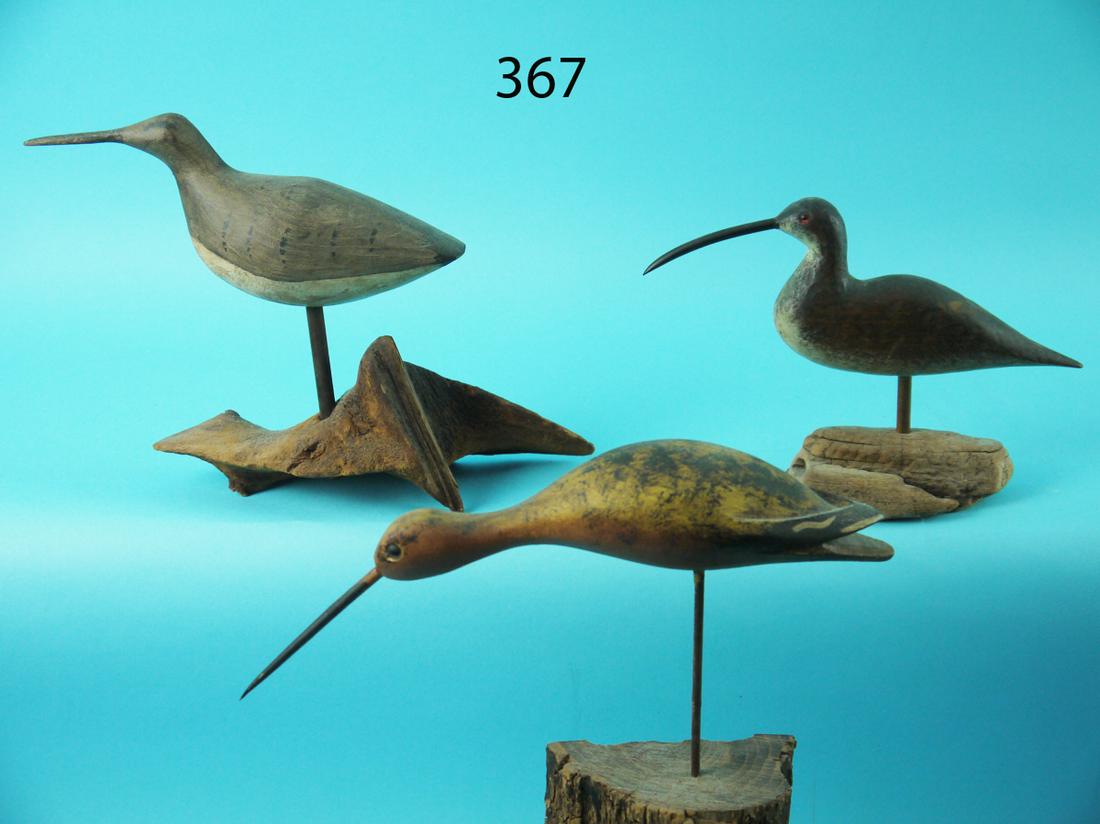 THREE SHOREBIRDS (1 of 2)