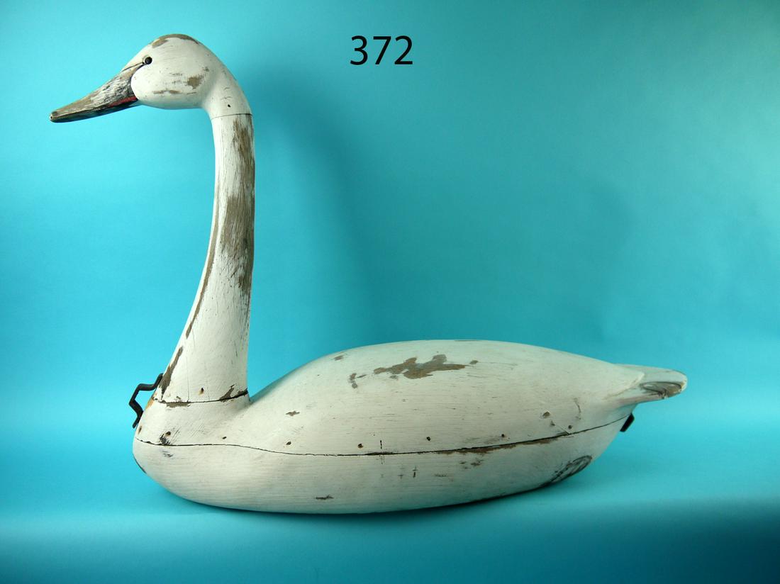 HIGH HEAD SWAN, NEW JERSEY (1 of 2)