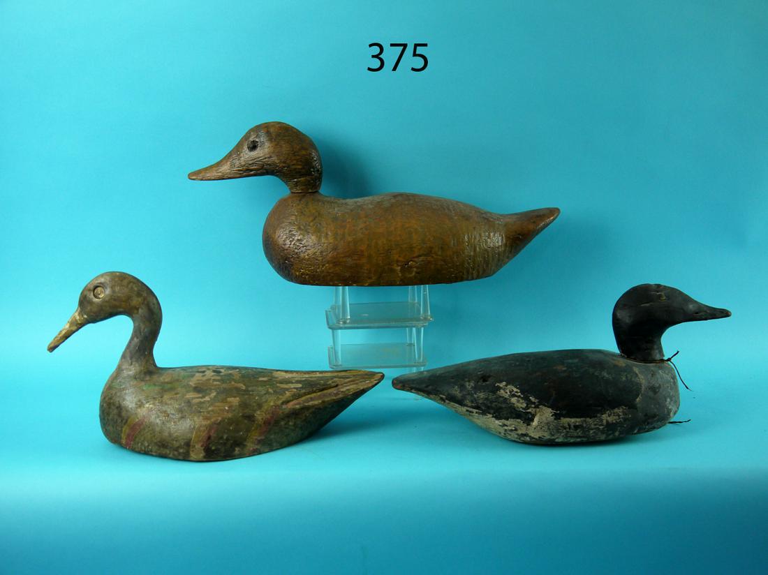 THREE DECOYS (1 of 1)