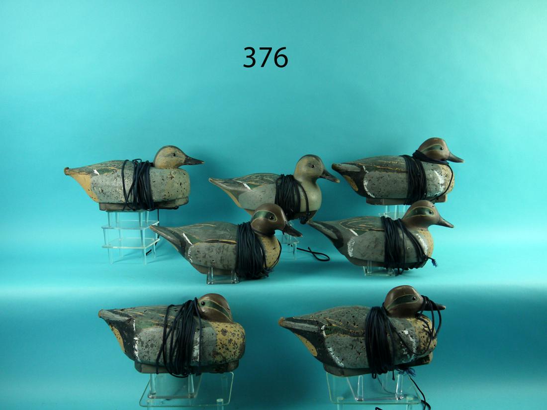 SEVEN GREEN WING TEAL HUNTING RIG (1 of 1)