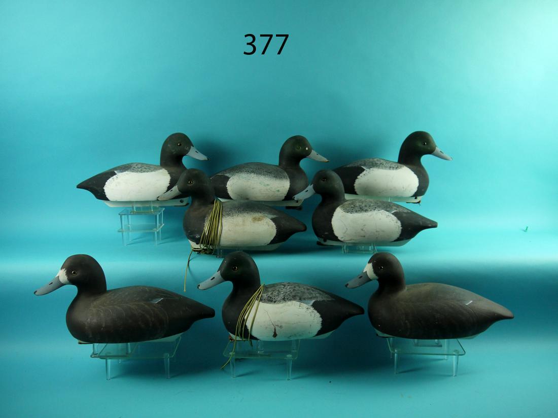 HUNTING RIG - EIGHT BLUEBILLS (1 of 1)