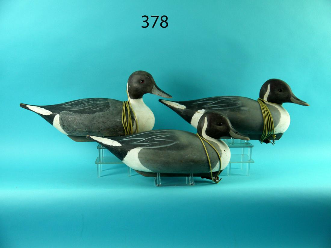 HUNTING RIG, THREE PINTAIL DRAKES, DELAWARE RIVER (1 of 1)