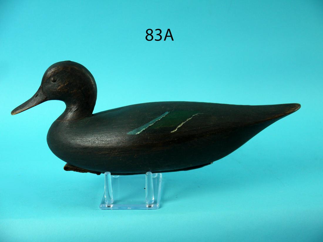 GREEN WING TEAL DRAKE, M. MCNAIR (1 of 4)