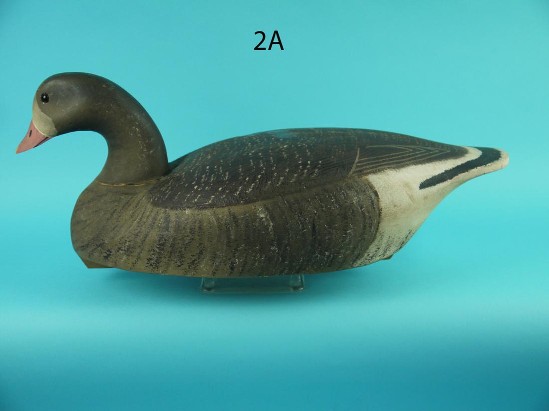 WHITE-FRONTED GOOSE, WILDFOWLER (1 of 4)