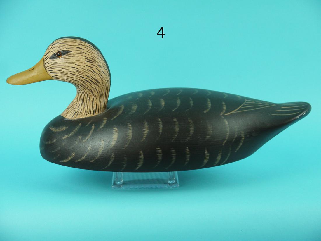 HIGH-HEAD BLACK DUCK, WILDFOWLER (1 of 4)