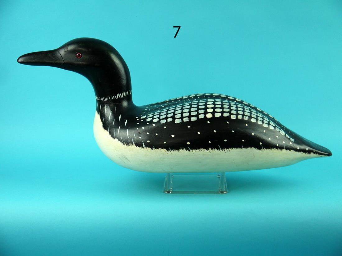 LOON, WILDFOWLER (1 of 4)