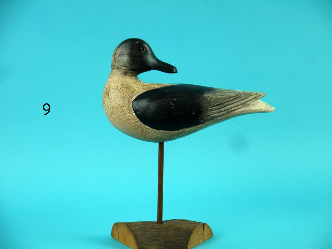 SHOREBIRD, WILDFOWLER (1 of 3)