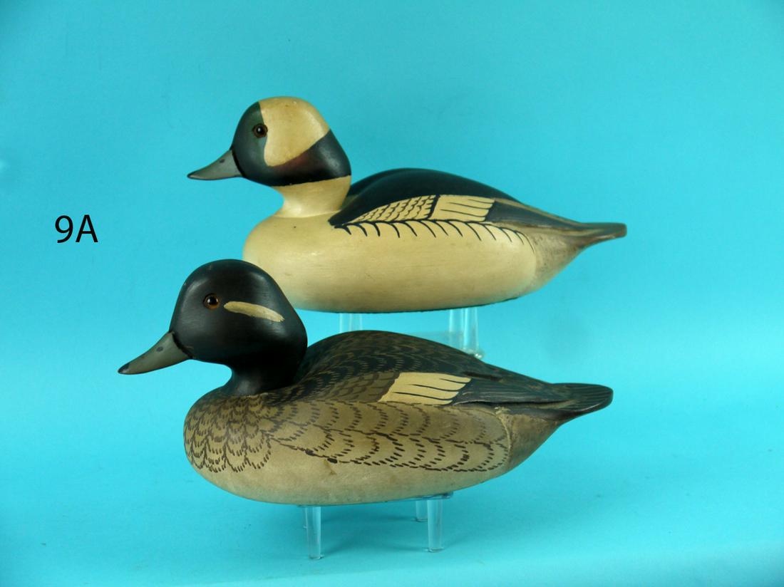 BUFFLEHEAD PAIR, WILDFOWLER (1 of 4)