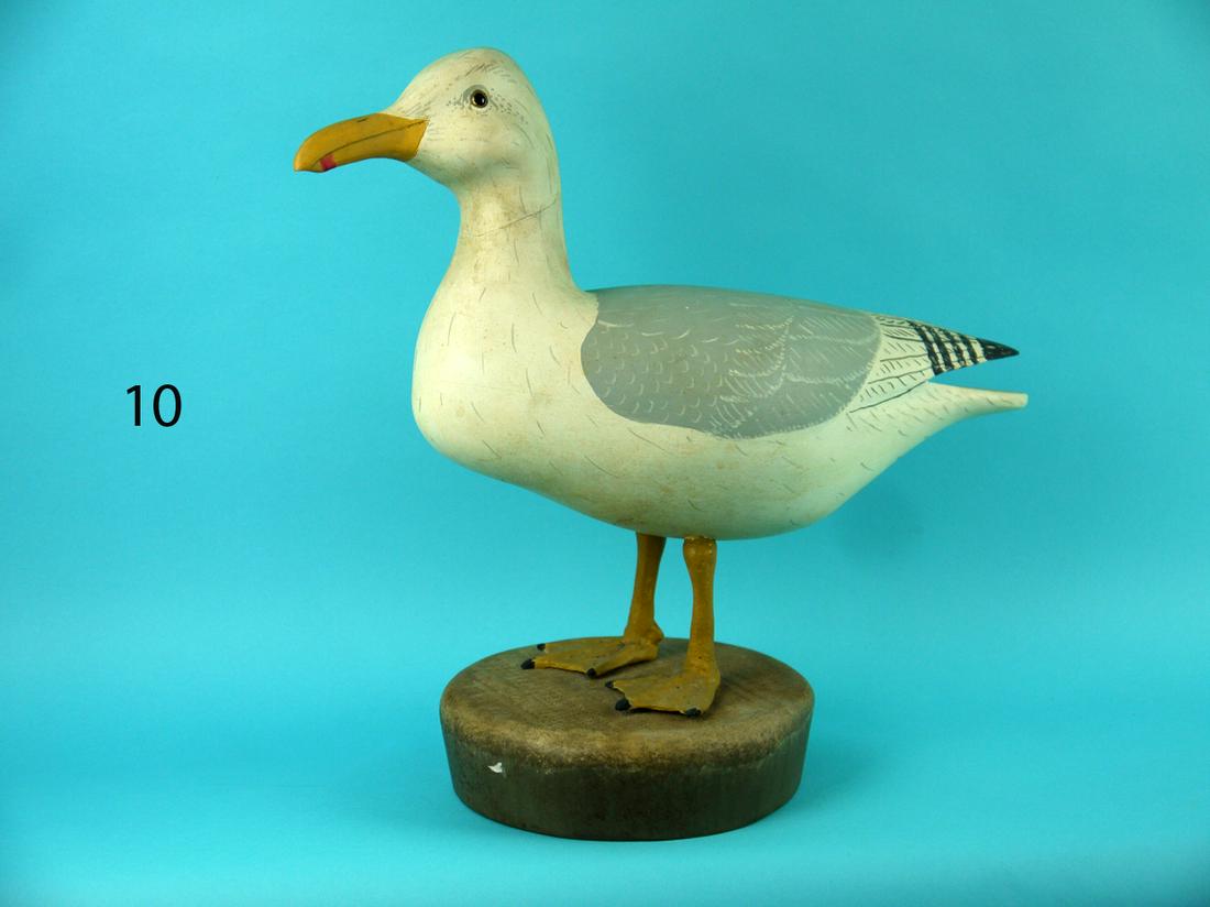 STANDING GRAY BACK GULL, WILDFOWLER (1 of 4)