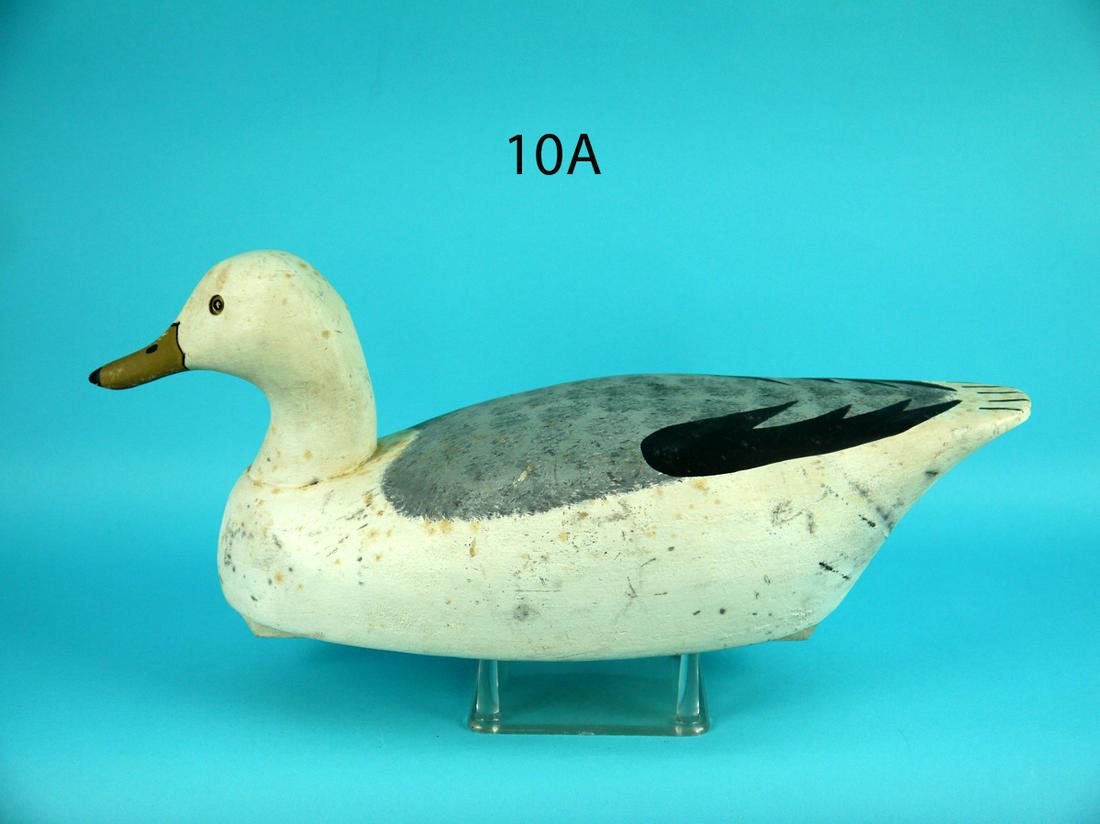 GULL, WILDFOWLER (1 of 4)