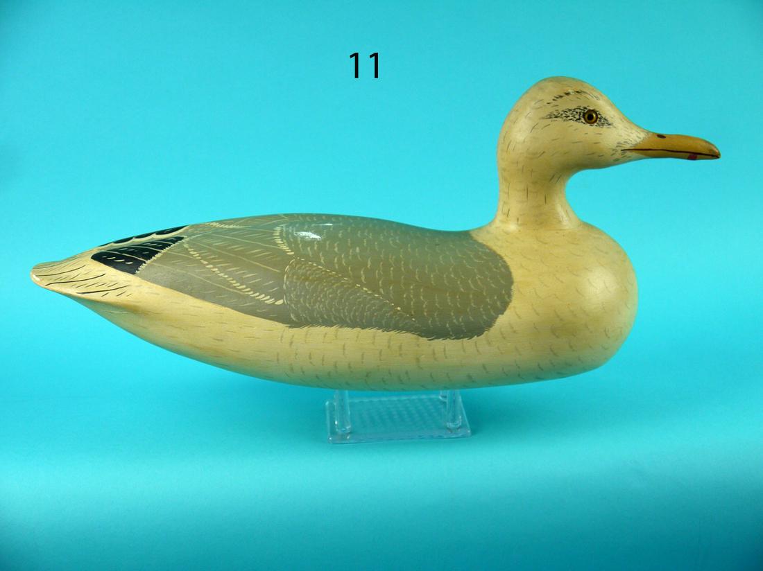 SEAGULL, WILDFOWLER (1 of 4)