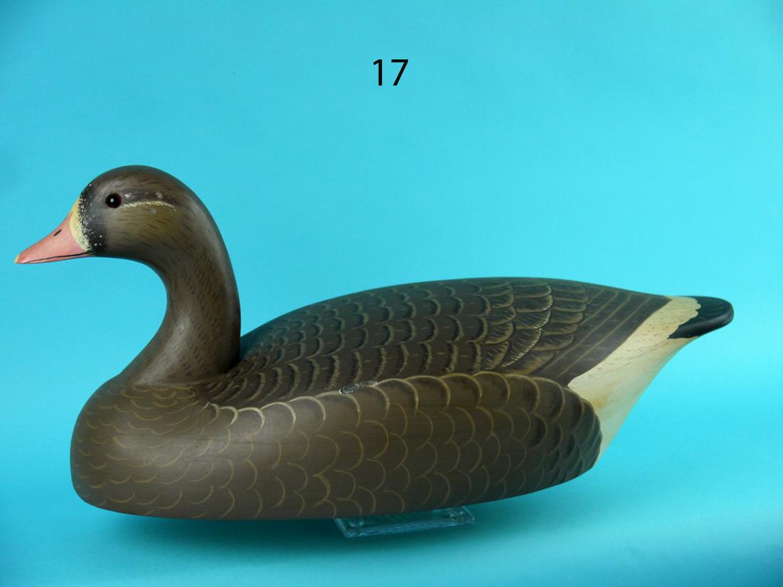 SNOW GOOSE, WILDFOWLER (1 of 4)