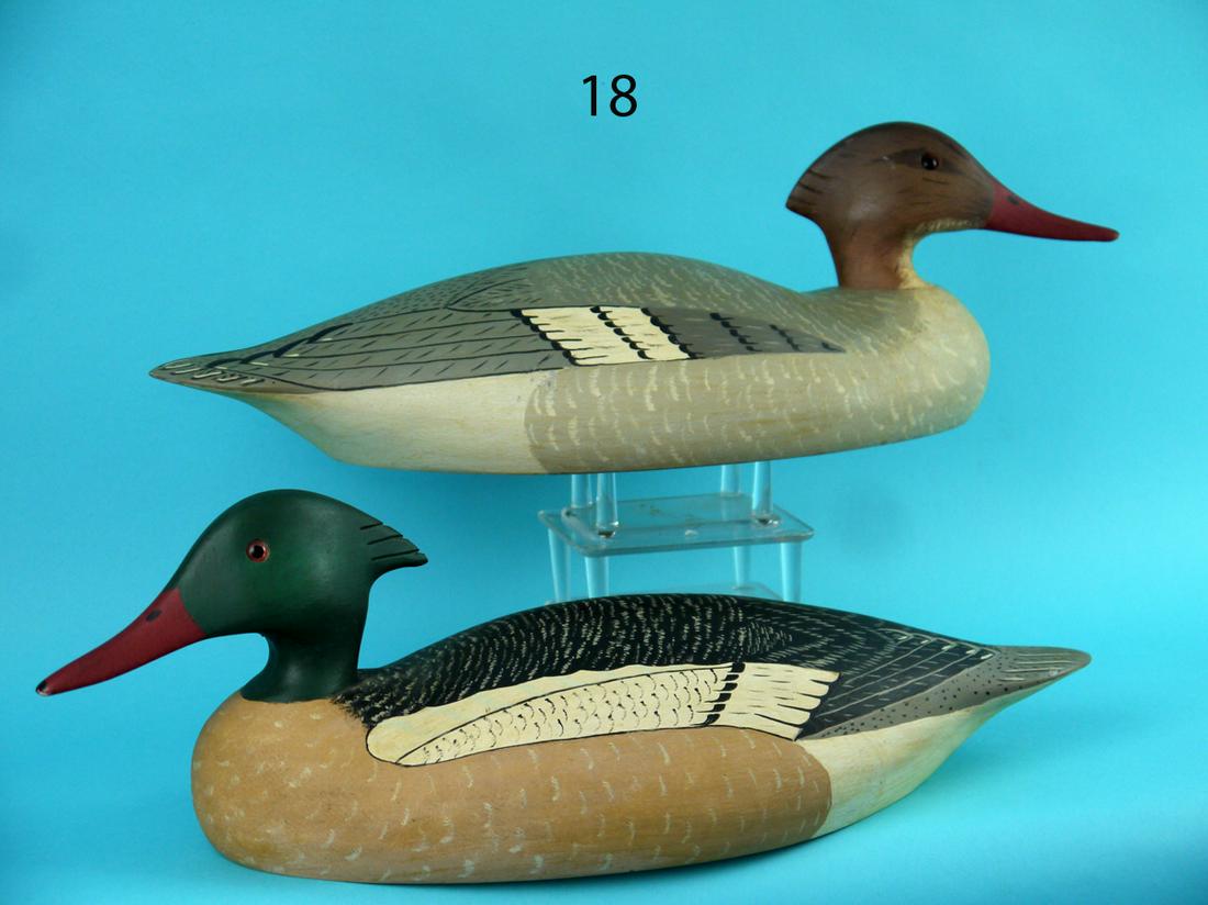 AMERICAN MERGANSER PAIR, WILDFOWLER (1 of 4)