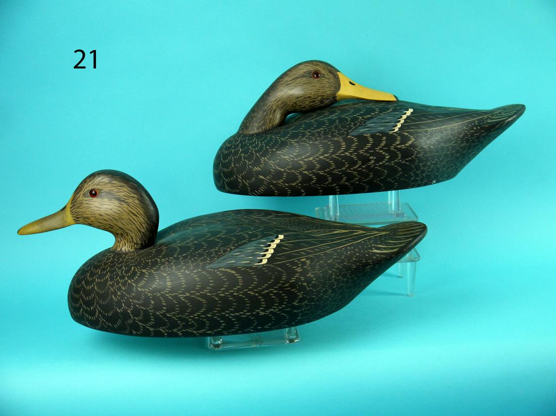 BLACK DUCK PAIR, WILDFOWLER (1 of 4)