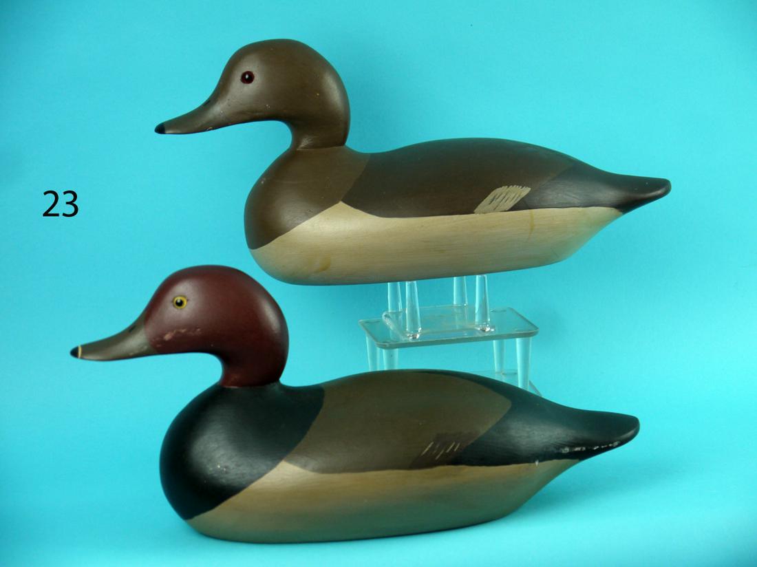 RED HEAD PAIR, WILDFOWLER (1 of 4)