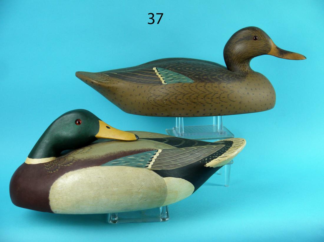 MALLARD PAIR, WILDFOWLER (1 of 4)
