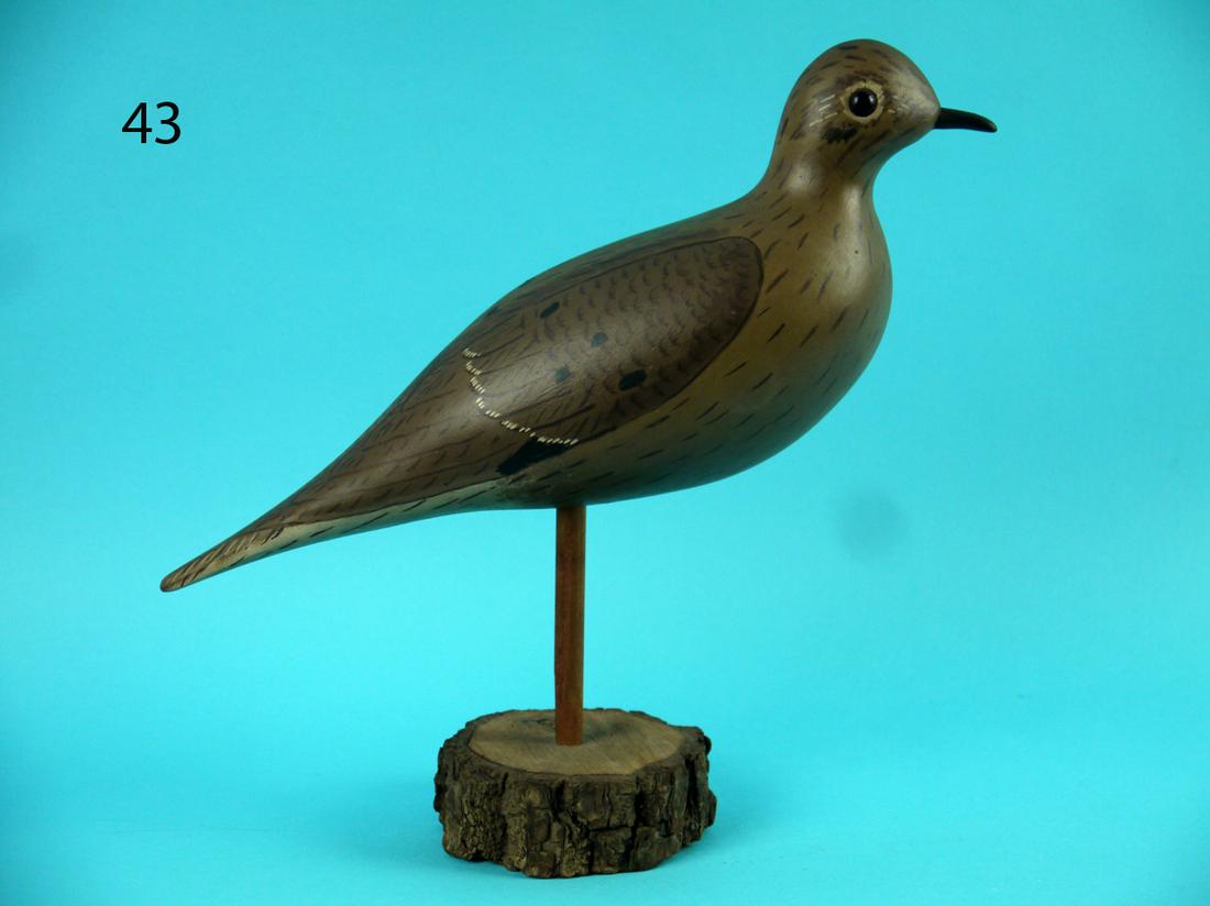 MOURNING DOVE, WILDFOWLER (1 of 3)