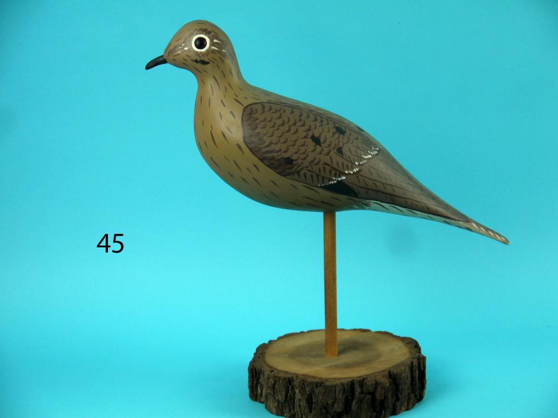 MOURNING DOVE, WILDFOWLER (1 of 3)