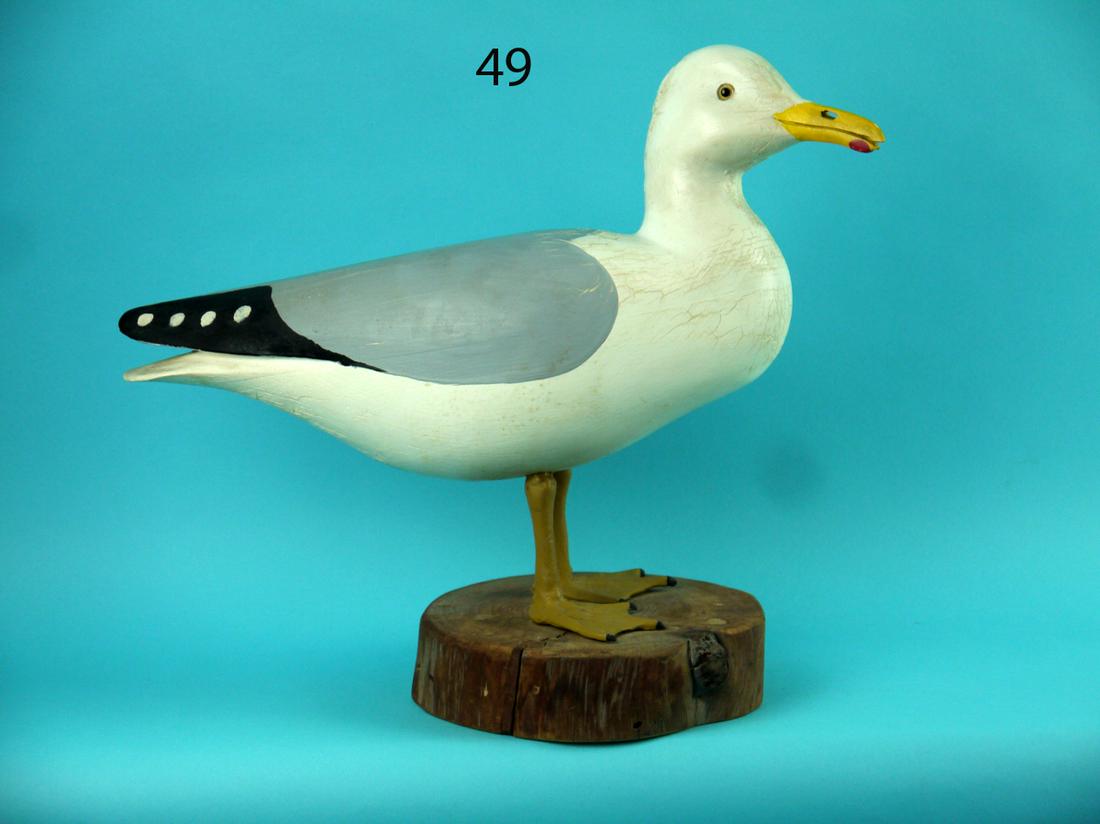 STANDING GRAY BACK GULL, H.V. SHOURDS (1 of 4)