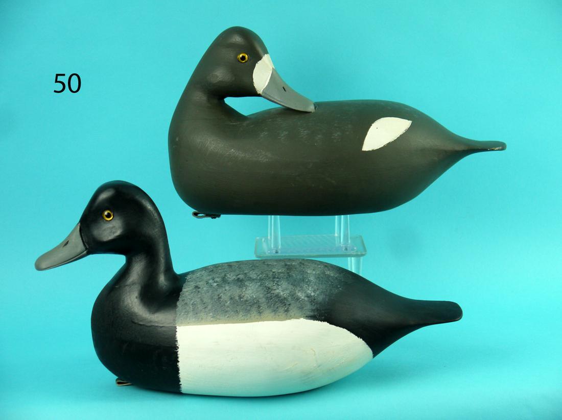 BLUEBILL PAIR, H.V. SHOURDS (1 of 4)