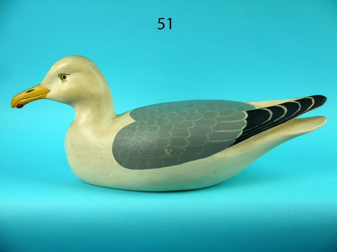 GULL, H.V. SHOURDS (1 of 4)