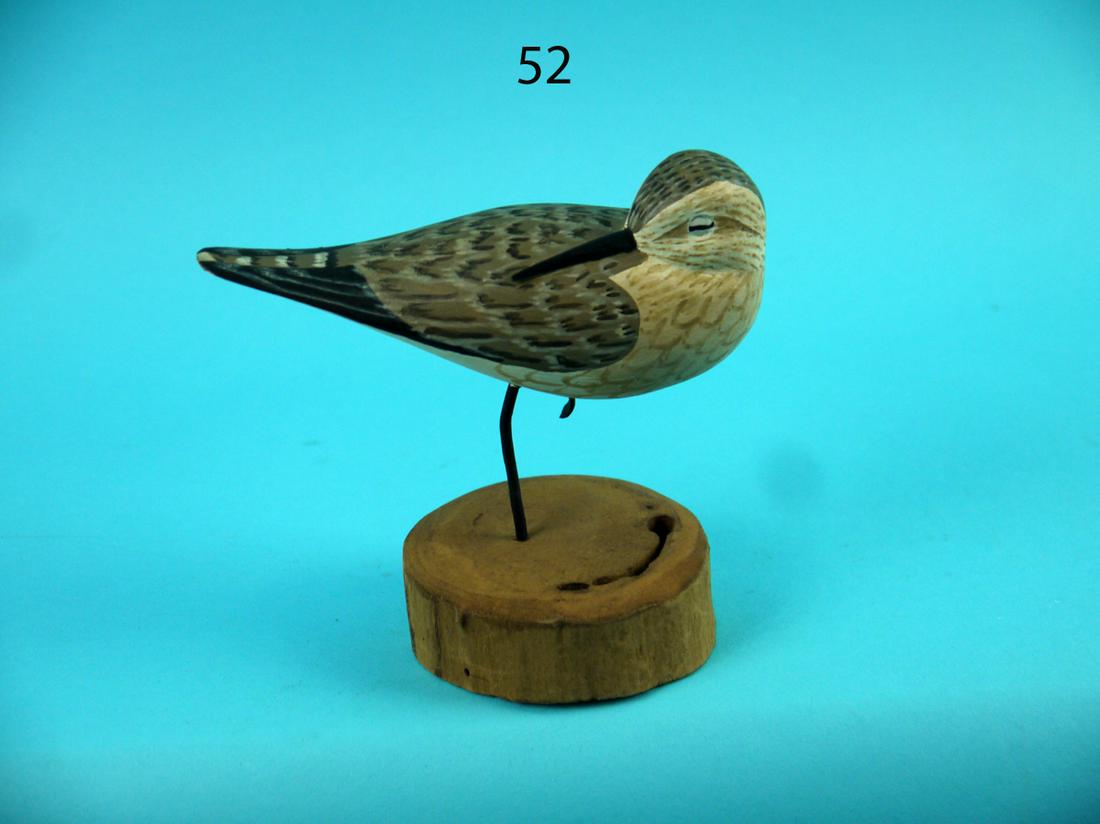 SANDERLING, H.V. SHOURDS (1 of 4)