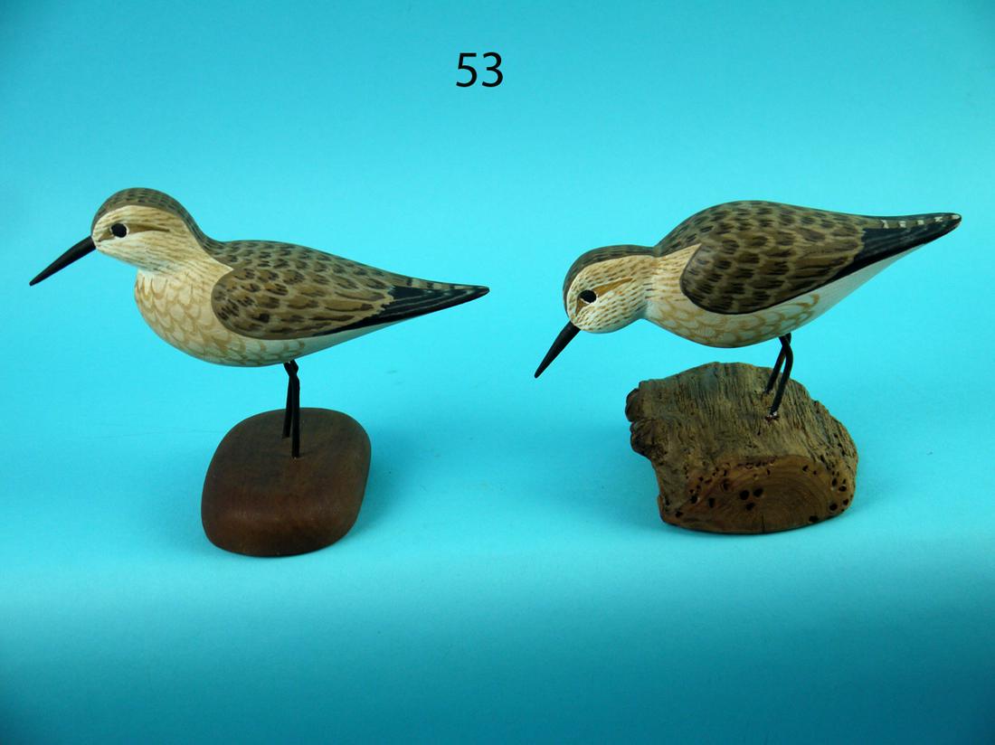 TWO SANDPIPERS, H.V. SHOURDS (1 of 4)