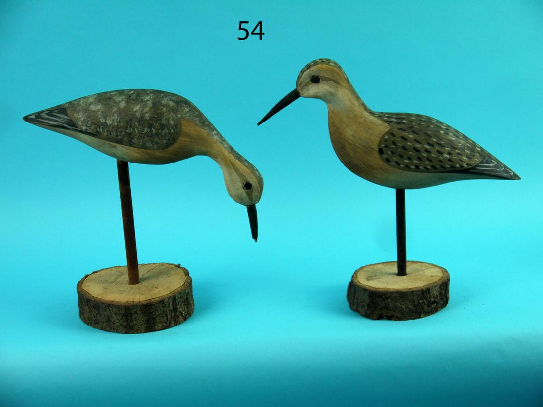 TWO YELLOWLEGS, H.V. SHOURDS (1 of 4)