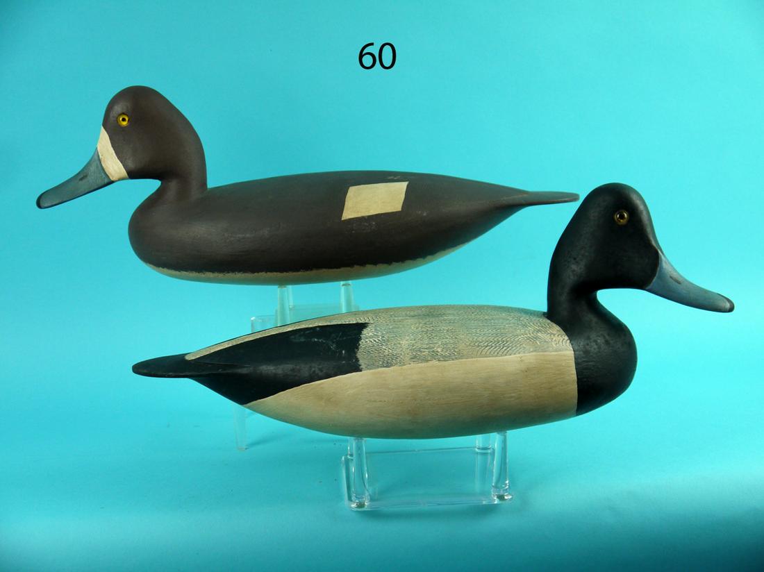 BLUEBILL PAIR,  H. CONKLIN (1 of 4)