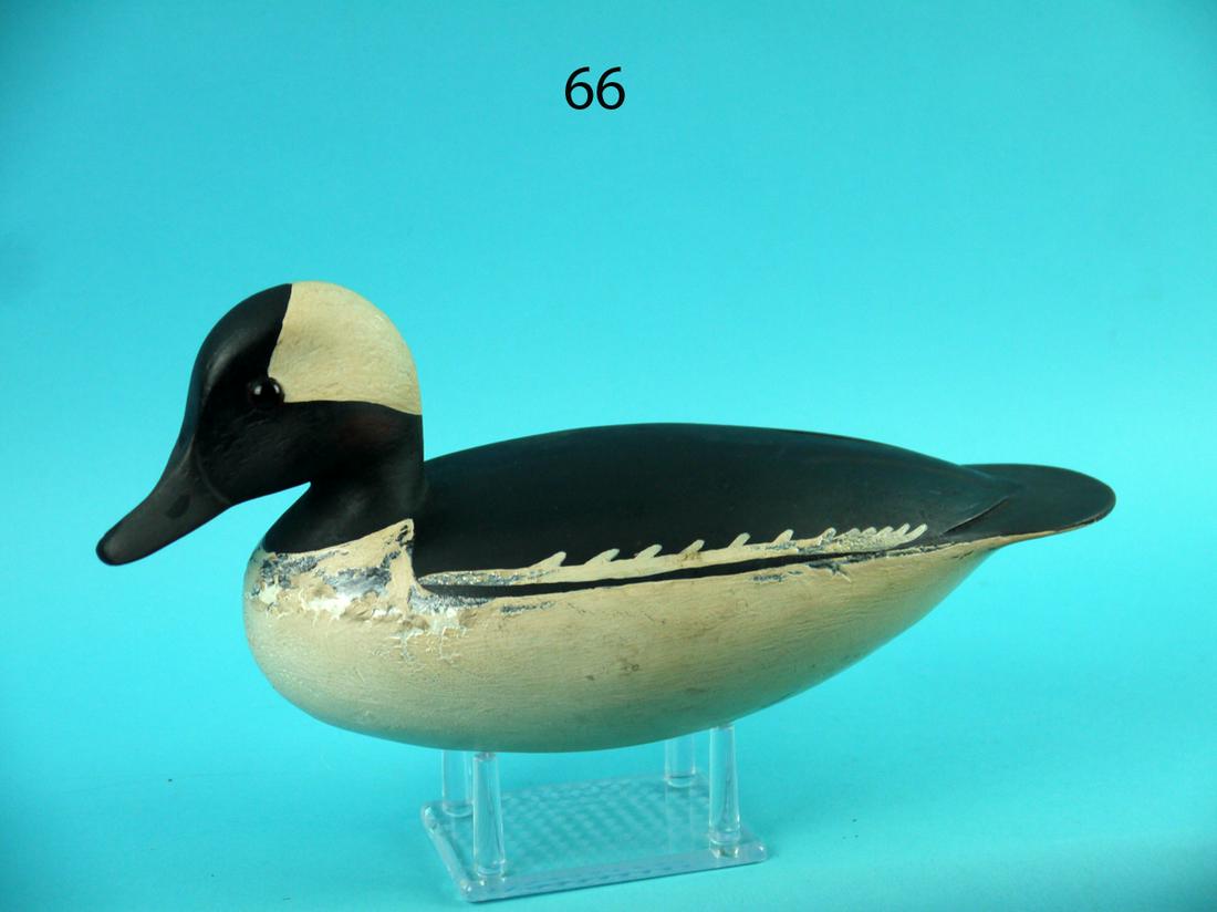 BUFFLEHEAD DRAKE, H. CONKLIN (1 of 4)