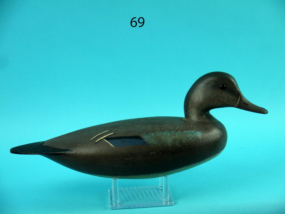 BLUE WING TEAL HEN, H. CONKLIN (1 of 4)