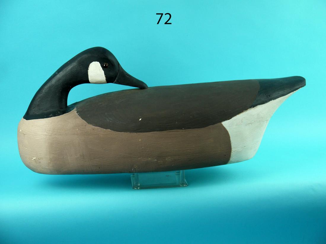 CANADA GOOSE, P. WILBER (1 of 4)