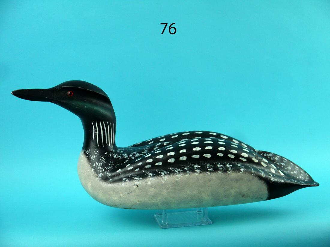 LOON, C. ALLSOPP (1 of 4)