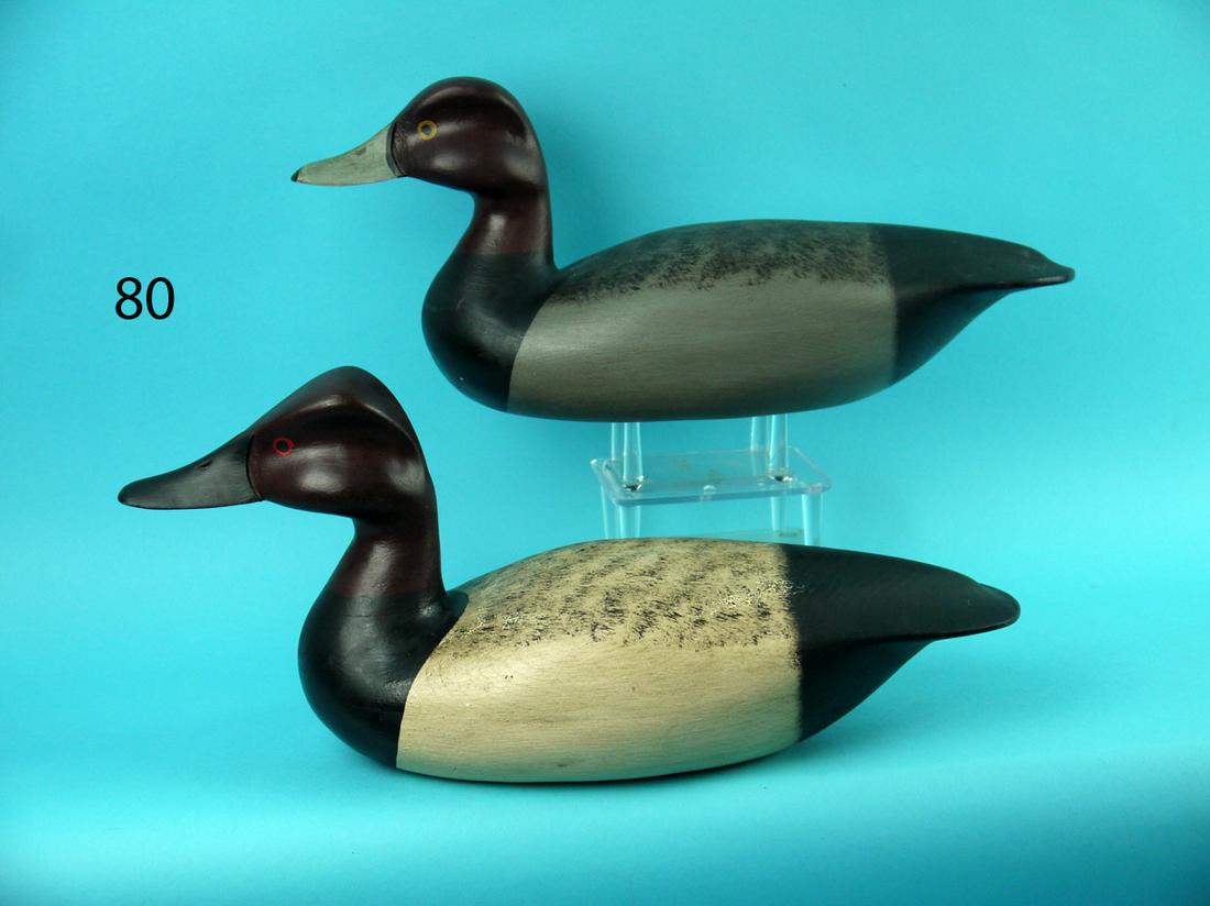 CANVASBACK DRAKE, RED HEAD DRAKE, C. ALLSOPP (1 of 4)