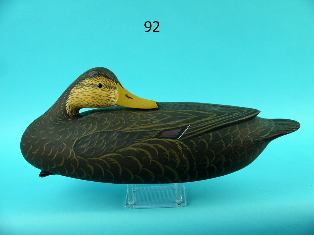 BLACK DUCK, A. HILLMAN (1 of 4)